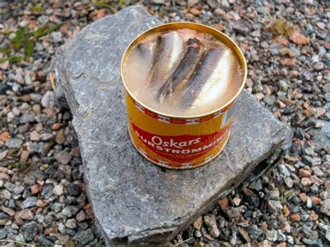 the smelliest fish in the world|Surströmming: The Swedish Stinky Fish Delicacy